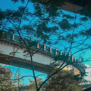 Very Blue